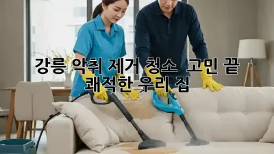 강릉 악취 제거 청소 💨 고민 끝! 쾌적한 우리 집🏡